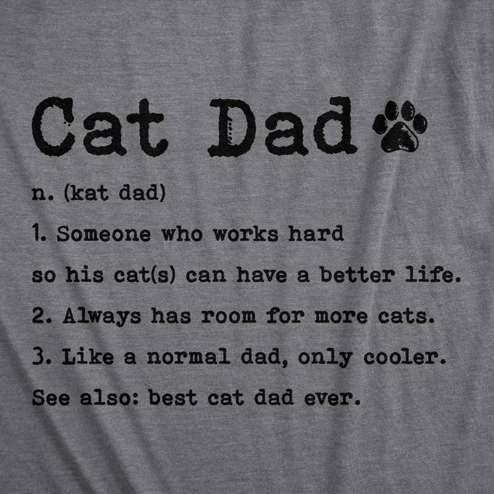Dark Heather Grey Cat Dad Definition Men's Tshirt Father's Day Graphic Tee for wholesale on Faire
