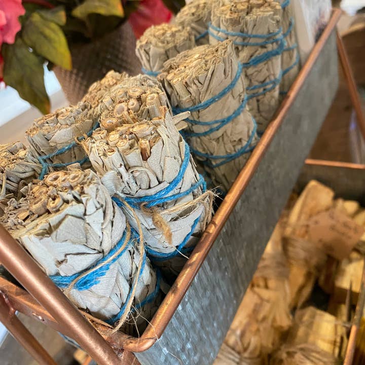 Onic Brands LLC - Wholesale Sage Bundle - Sage Stick1