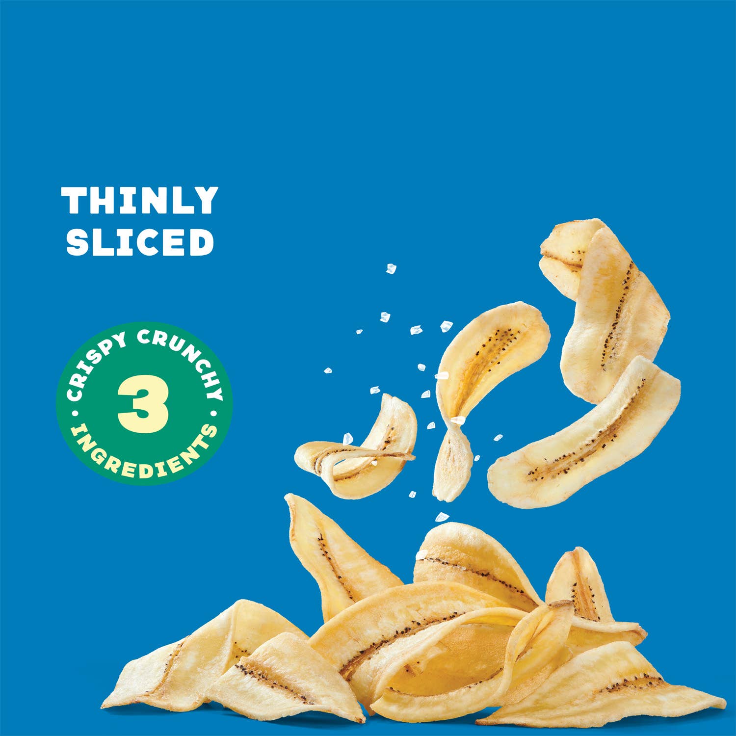 Sun Tropics - Wholesale Chips - Sun Tropics Saba Banana Chips - Sea Salt, 5.1 oz4