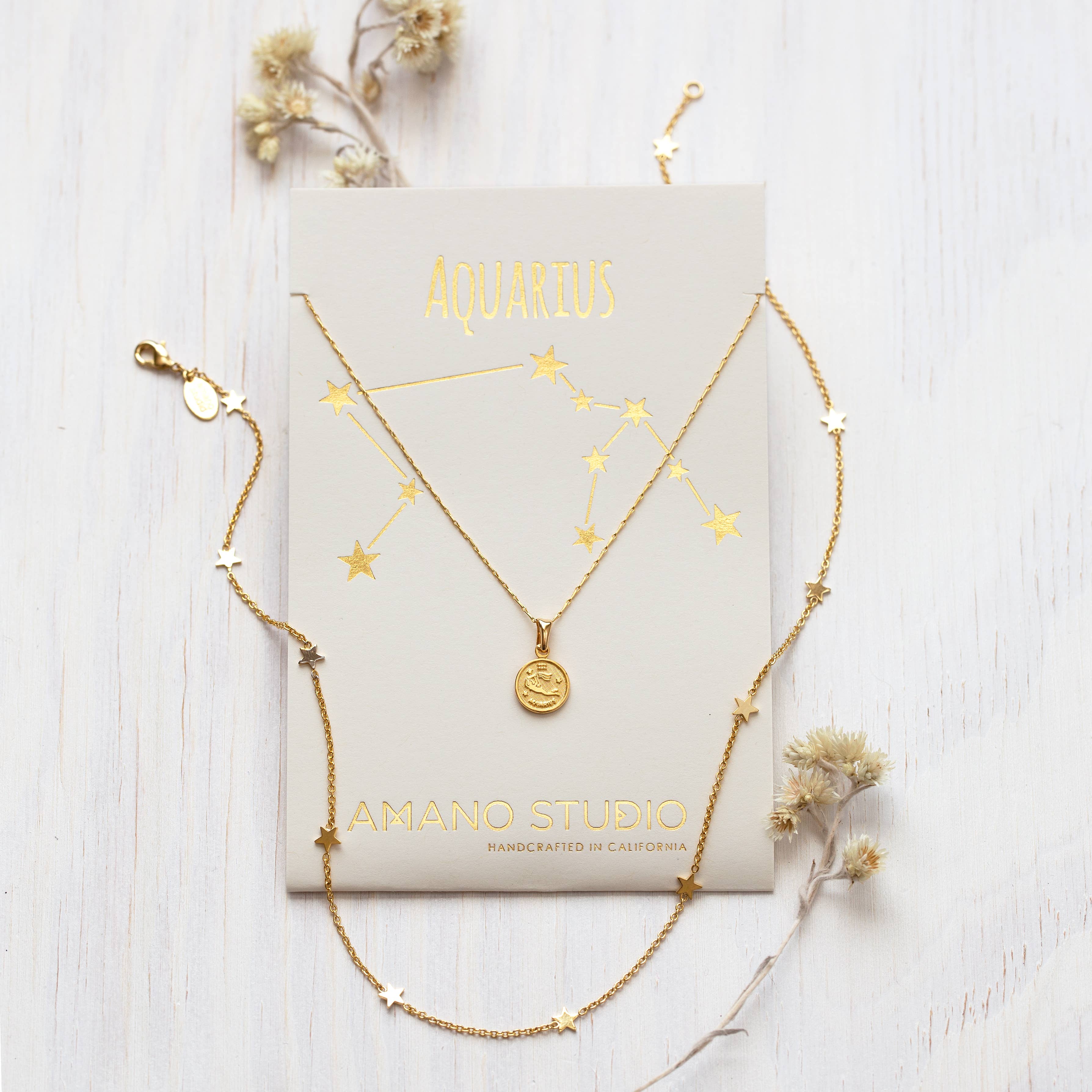 Amano Studio - Wholesale Pendant/Charm Necklace - Tiny Zodiac Medallion- Singles2