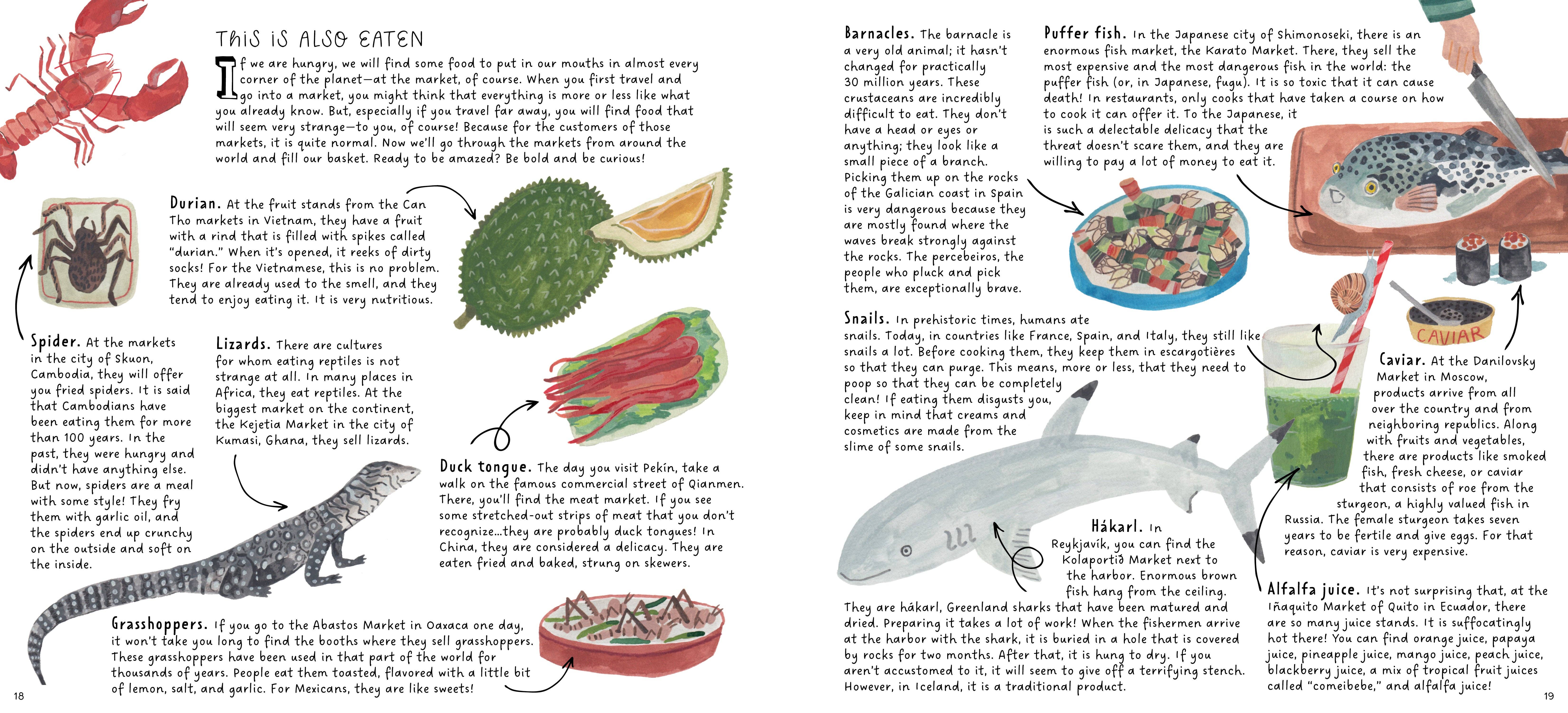 Bushel & Peck Books - Wholesale Preschool Book (3-5) - Markets: A World to Discover8