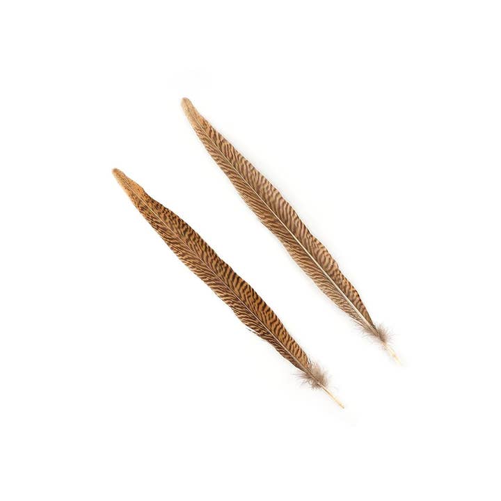 Zucker Feather Products - Wholesale Craft Supplies - 10 PC/PKG Golden Pheasant Tails 14-16" - Natural