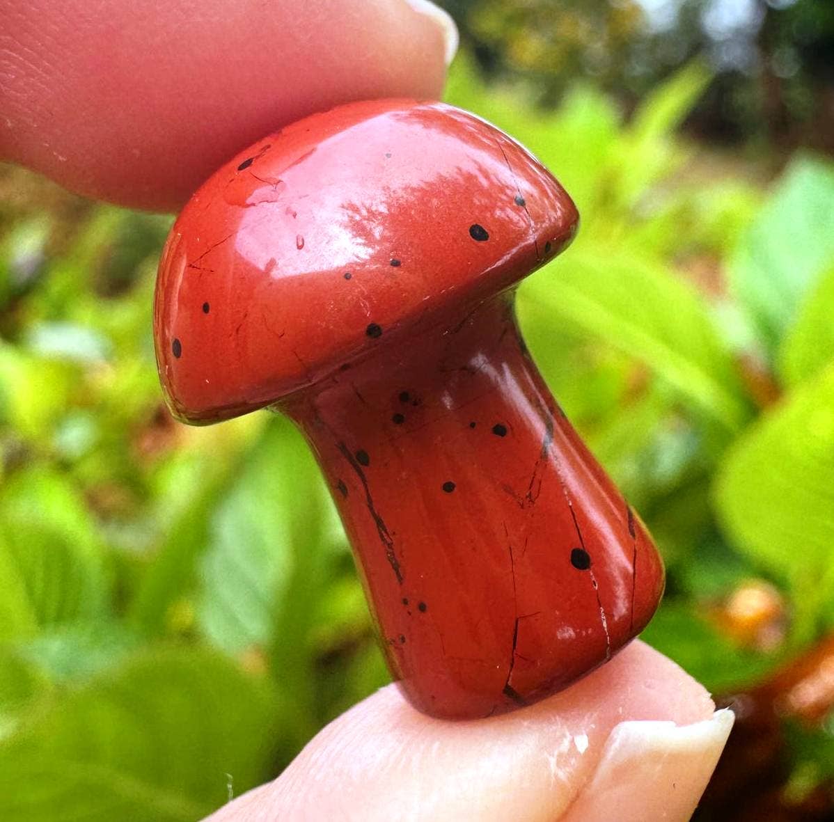 Elf Kendal Hippies - Vente Pierre et cristal de spiritualité - champignon pierre précieuse 2cm cristal de champignon prix par pierre Royaume-Uni4