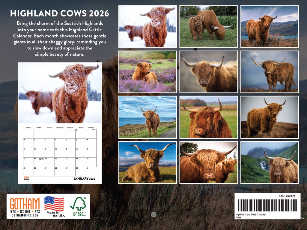 Multi Color Highland Cow Calendar 2026 Wall Monthly for wholesale on Faire1