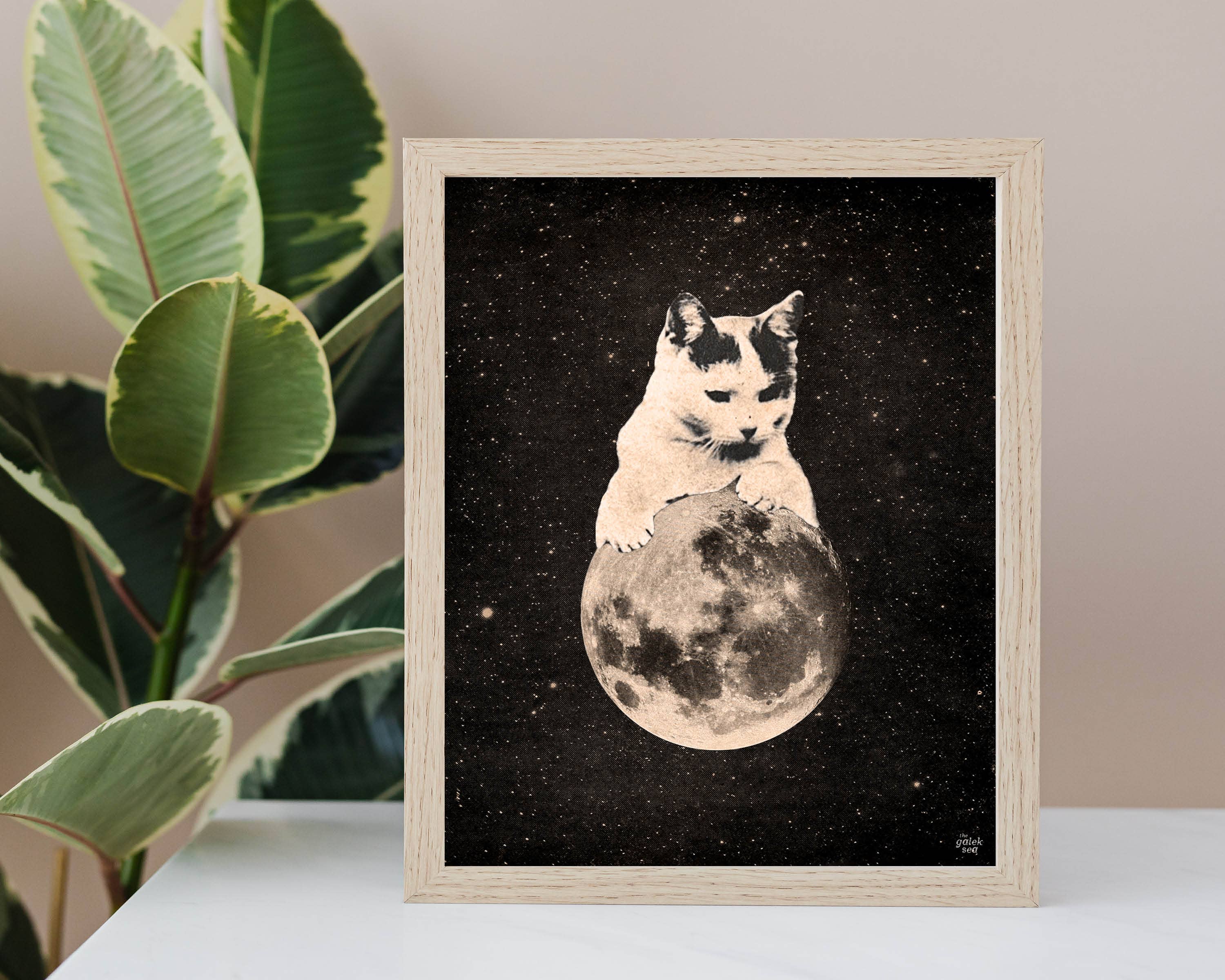 The Galek Sea – Engroshandel Kunsttryk – Mooncat 2 Print5