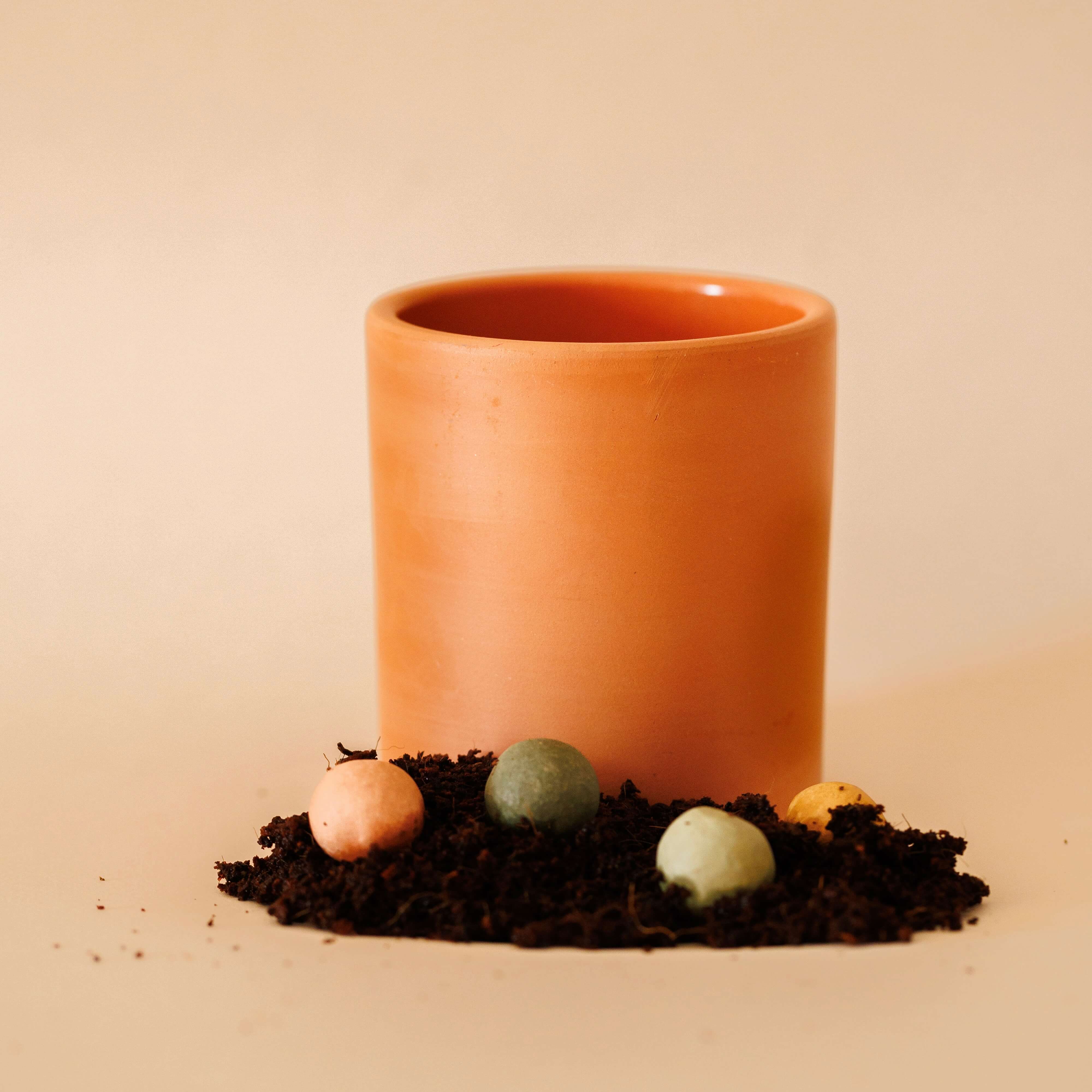 Flowrette - Wholesale Plant Seeds - Planting kit8