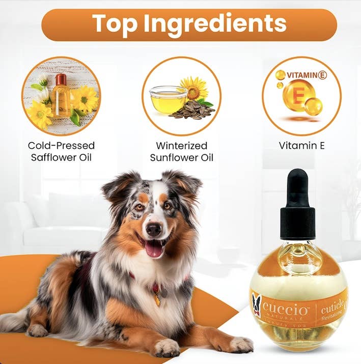 Warren London Dog Products – Produtos de higiene - Cão por atacado – Óleo Revitalizante para Cutículas e Unhas para Cães2