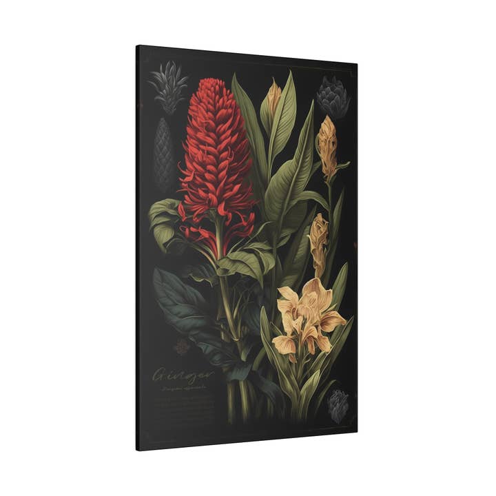 Dark Ginger Canvas Print - Herbal Art for Home or Office - Apothecary Decor for wholesale by Print Pothecary