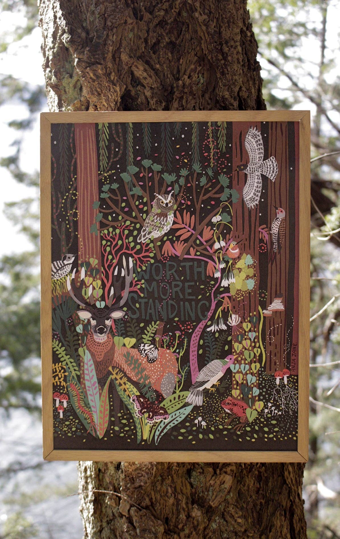 Anja Jane - Wholesale Art Print - Old Growth Forest Art Print2