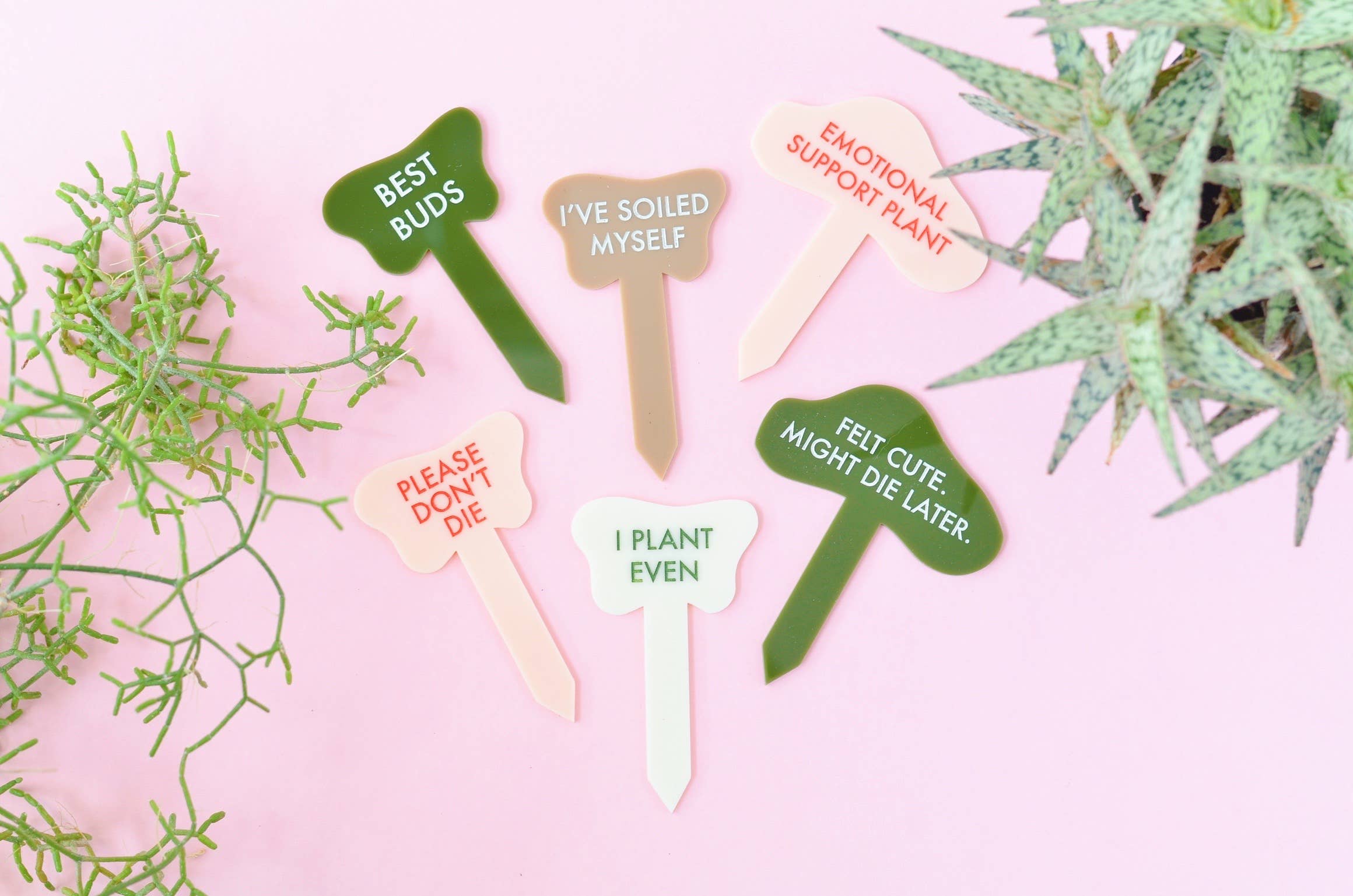 Tuff Girl Gang - Wholesale Plant Pot - PLEASE DON'T DIE Plant Stake2