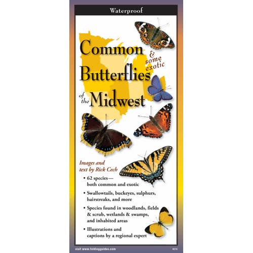 Common Butterflies of the Midwest for wholesale by Earth Sky + Water