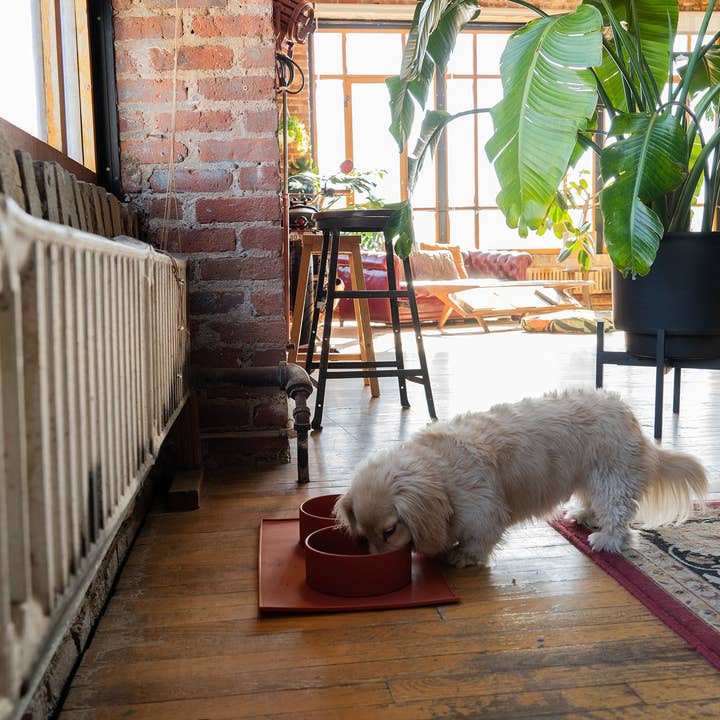 ADC Houndstone & Co. - Wholesale Pet Food Mat - Dog - Silicone Pet Food Mat Combo Pack - 14 Total - Save 10%14