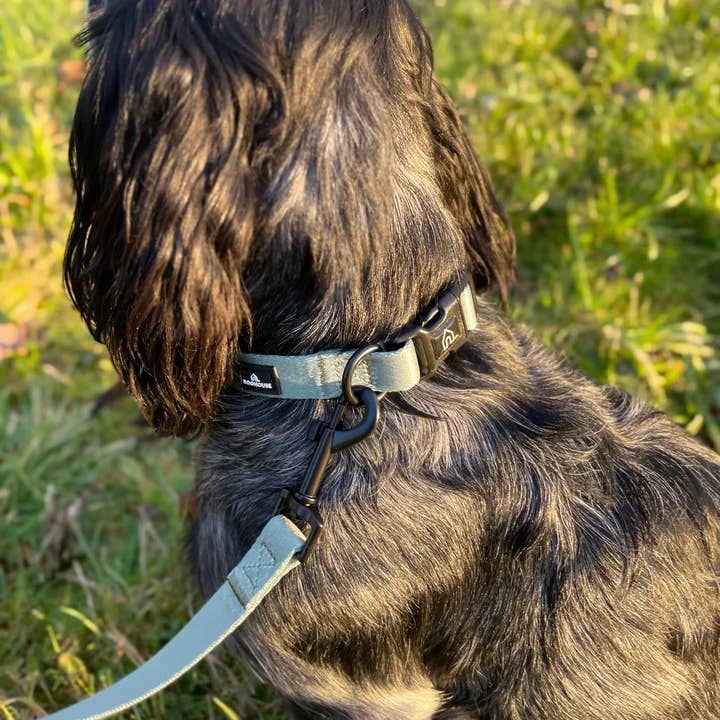 Doghouse - Wholesale Pet collar – Dog - Doghouse Everyday Comfort Dog Collar10