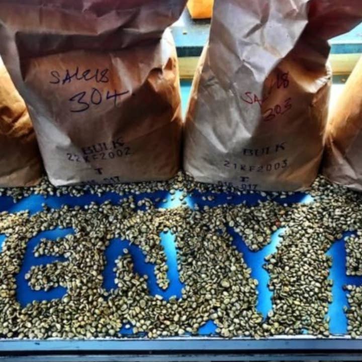 Kenya AA Nguvu for wholesale by Arise & Grind Coffee