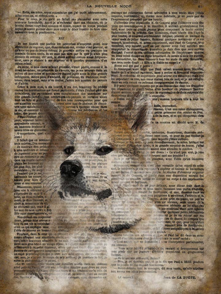 Signo de pared de madera de papel vintage Akita 20 x 16» para venta al por mayor de The Shizzle Print Co