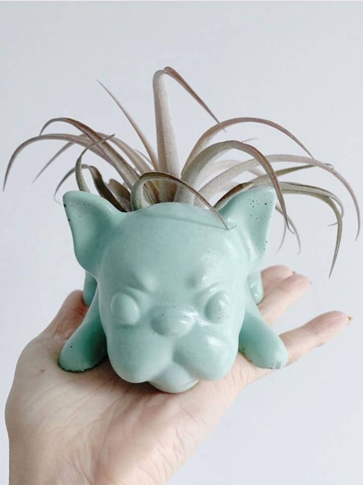 Frenchie Planter for wholesale by Homebody Collective
