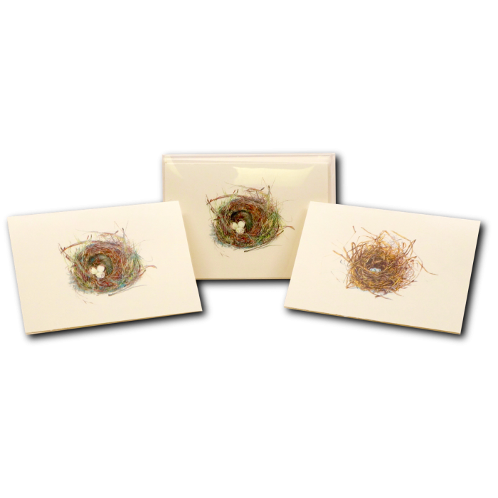 Earth Sky + Water - Wholesale Stationery/Notecard Set - Eggs in Nest3