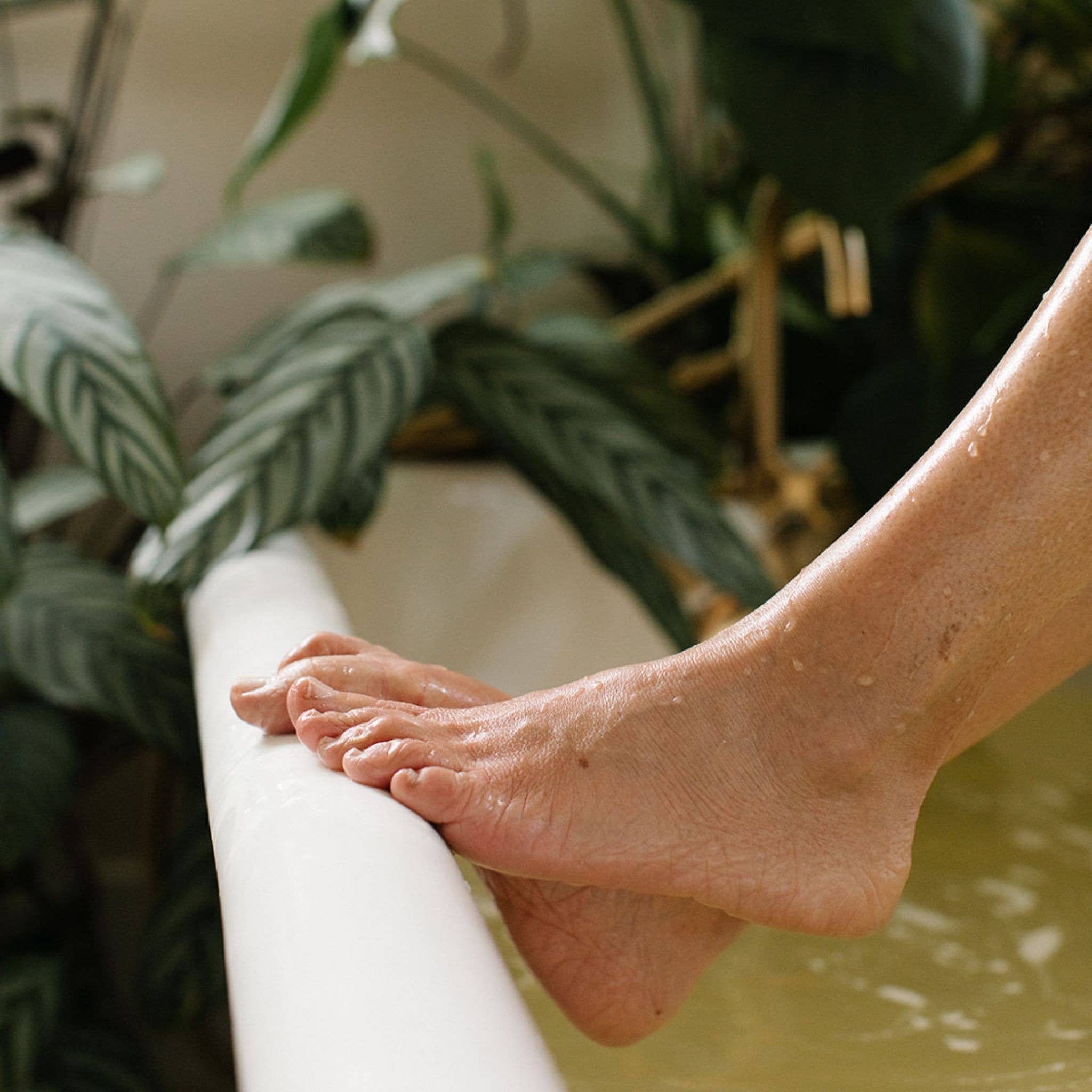 Moon Bath - Wholesale Bath Soak/Milk - WANING MOON | Botanical Bath Tea2