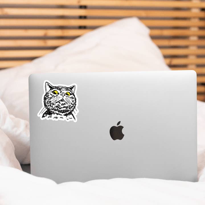 Yarnival - Wholesale Sticker - Judgy Cat Sticker - kitten, yellow eyes, animal, pet, meow2