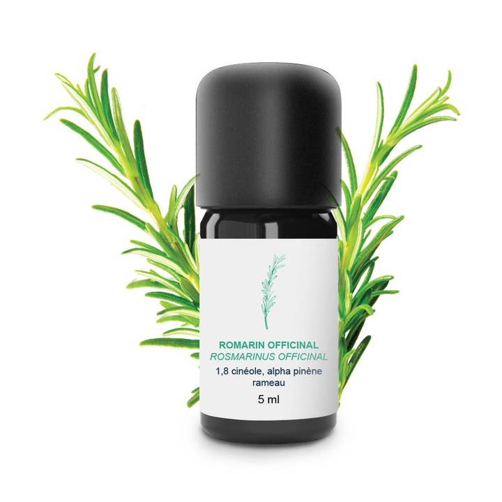 Rosemary Officinel Essential Oil for wholesale by essenciagua