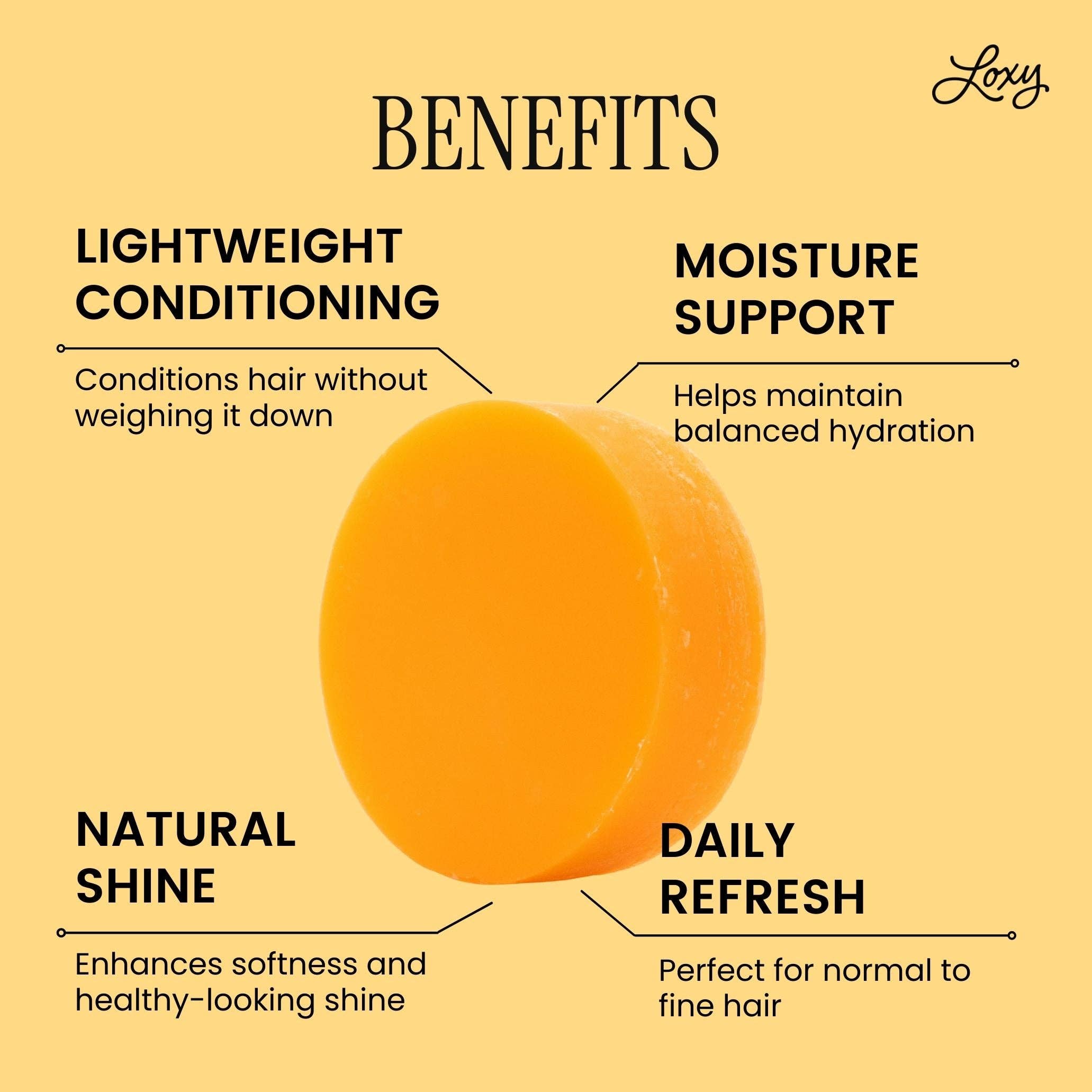 Loxy - Wholesale Hair Conditioner - MAINTAIN: Conditioner Bar for growth & shine1