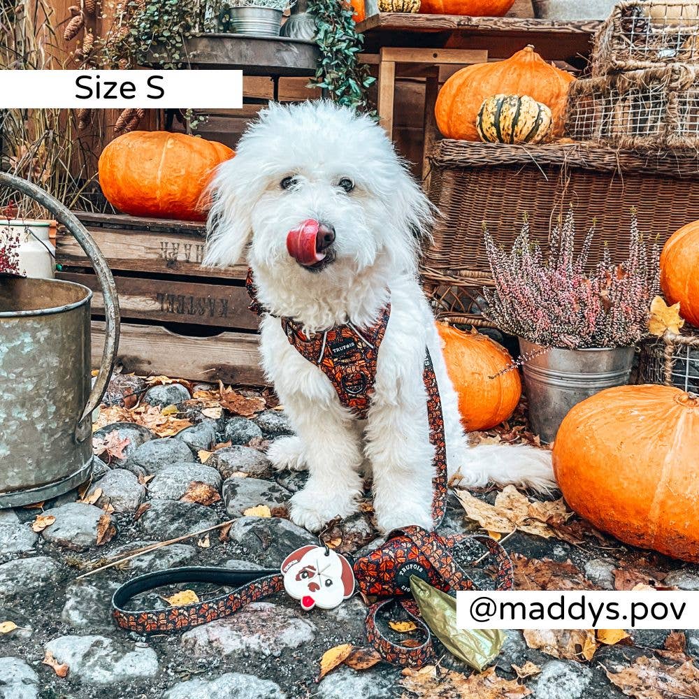 Trufois - Vente Harnais – chien - Harnais Sisu - Chute et Vol5