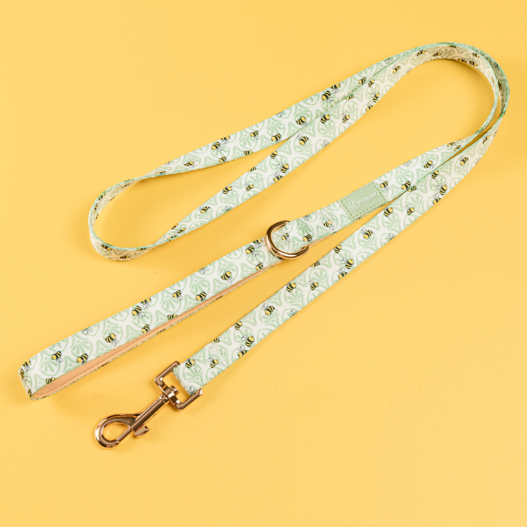 EverWoof - Wholesale Pet Leash - Dog - Little Honey Leash0