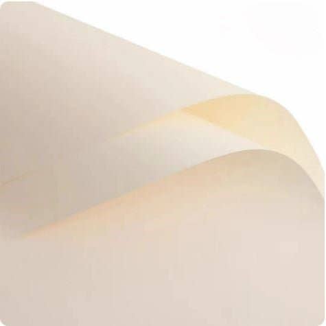 Elegant Design Supply - Wholesale Wrapping Paper Roll - Solid Color Korean Inspired Flower Wrapping Paper (20pcs/bag)37