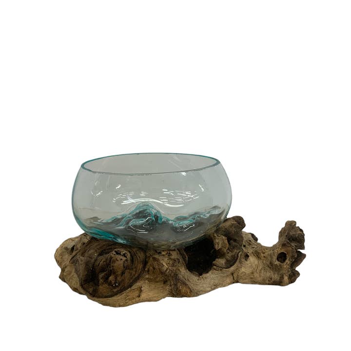 Asia West - Wholesale Terrarium - Succulent Dish/Terrarium Hand Blown Glass on Driftwood