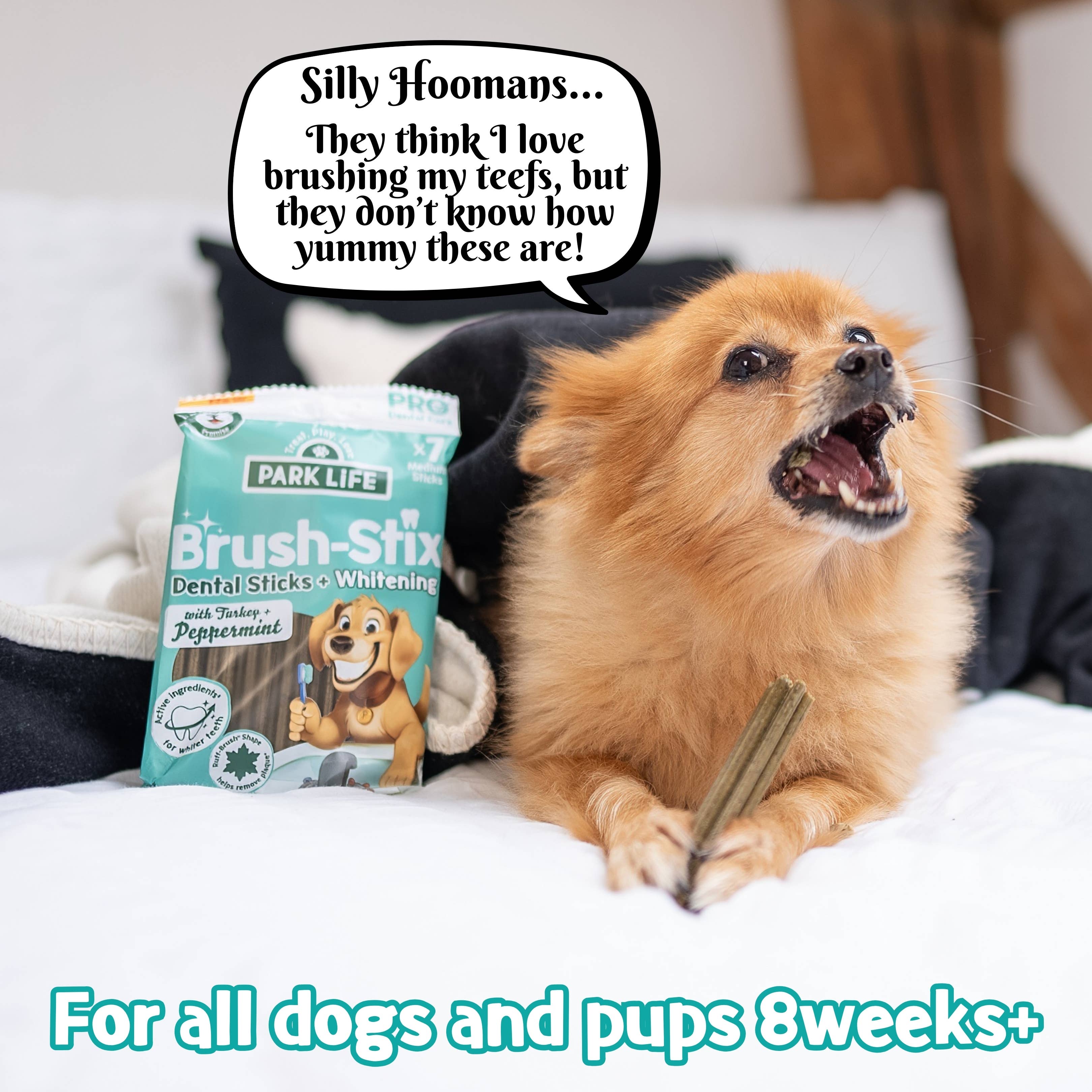 PARK LiFE - Wholesale Pet Supplement - Dog - Brush-Stix Turkey & Peppermint 180g (7x Medium Sticks)6