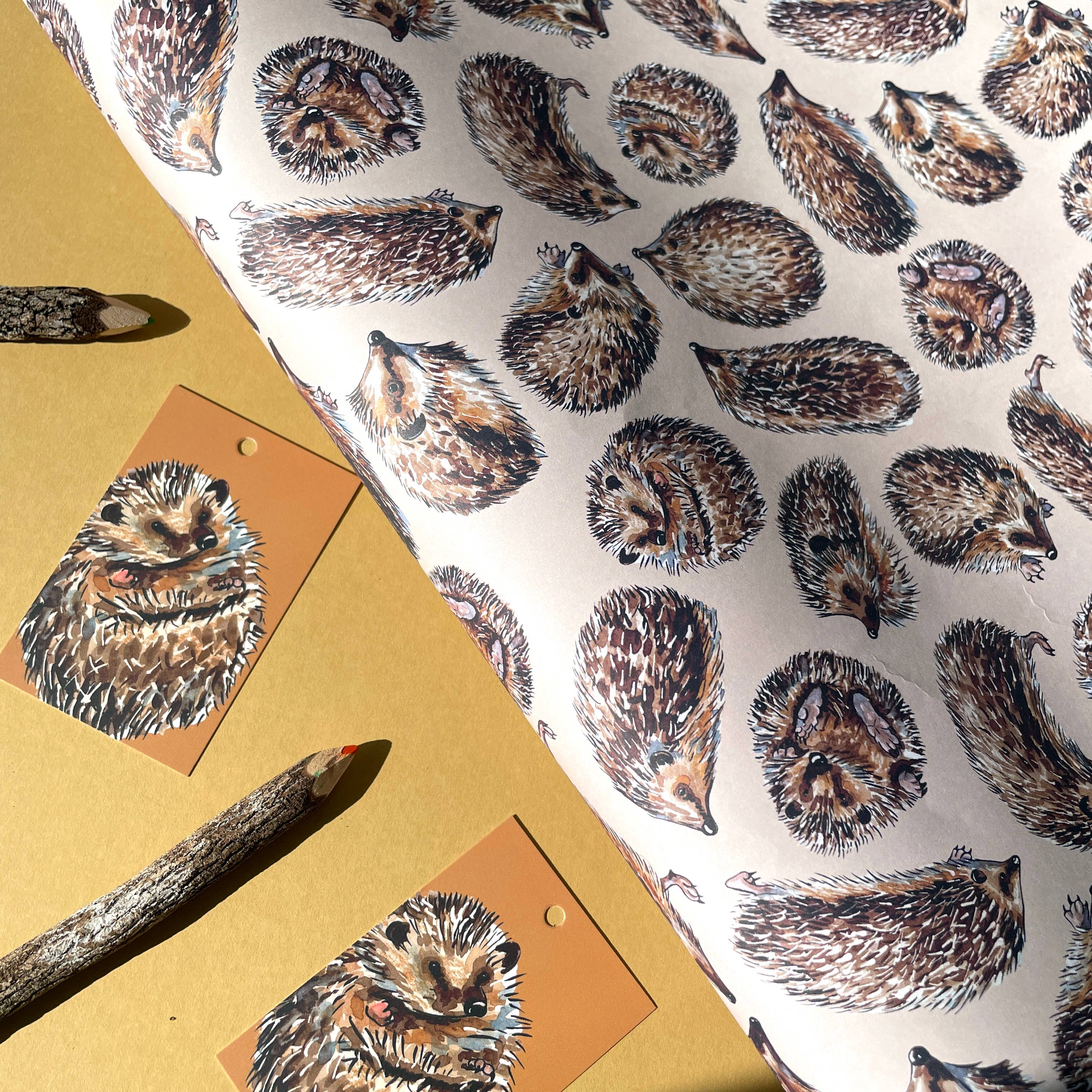 Alexia Claire Ltd - Wholesale Flat Wrap - Hedgehog wrapping paper Sheets10