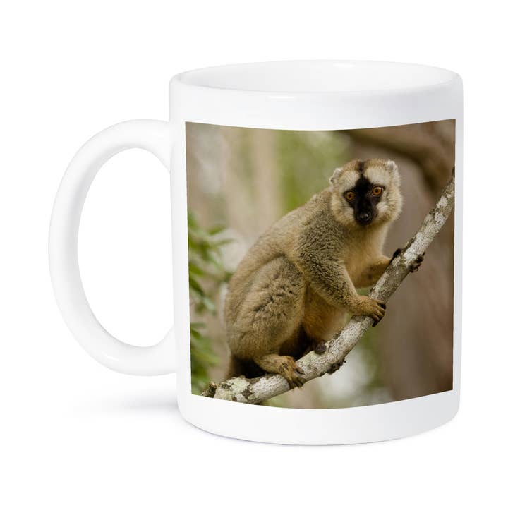 3dRose - Venta al por mayor Taza - 3dRose, Lémur marrón en un árbol en Madagascar-AF24 JMC0003 - Joe y Mary Ann McDonald, Taza8