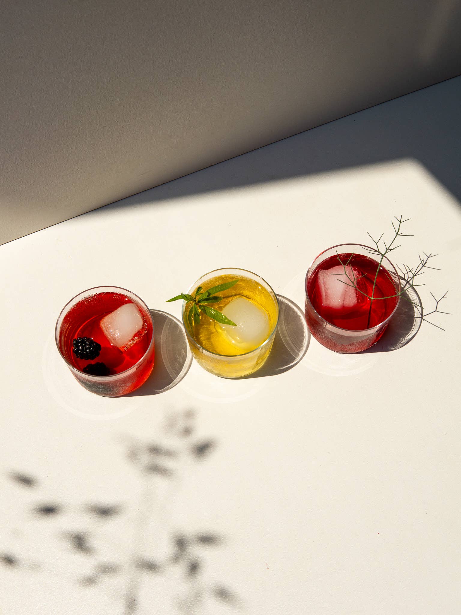 rhoeco - fine organic goods - Vente Sachets de thé - Cold Brew It - Sachets de thé surdimensionnés 3x8g8