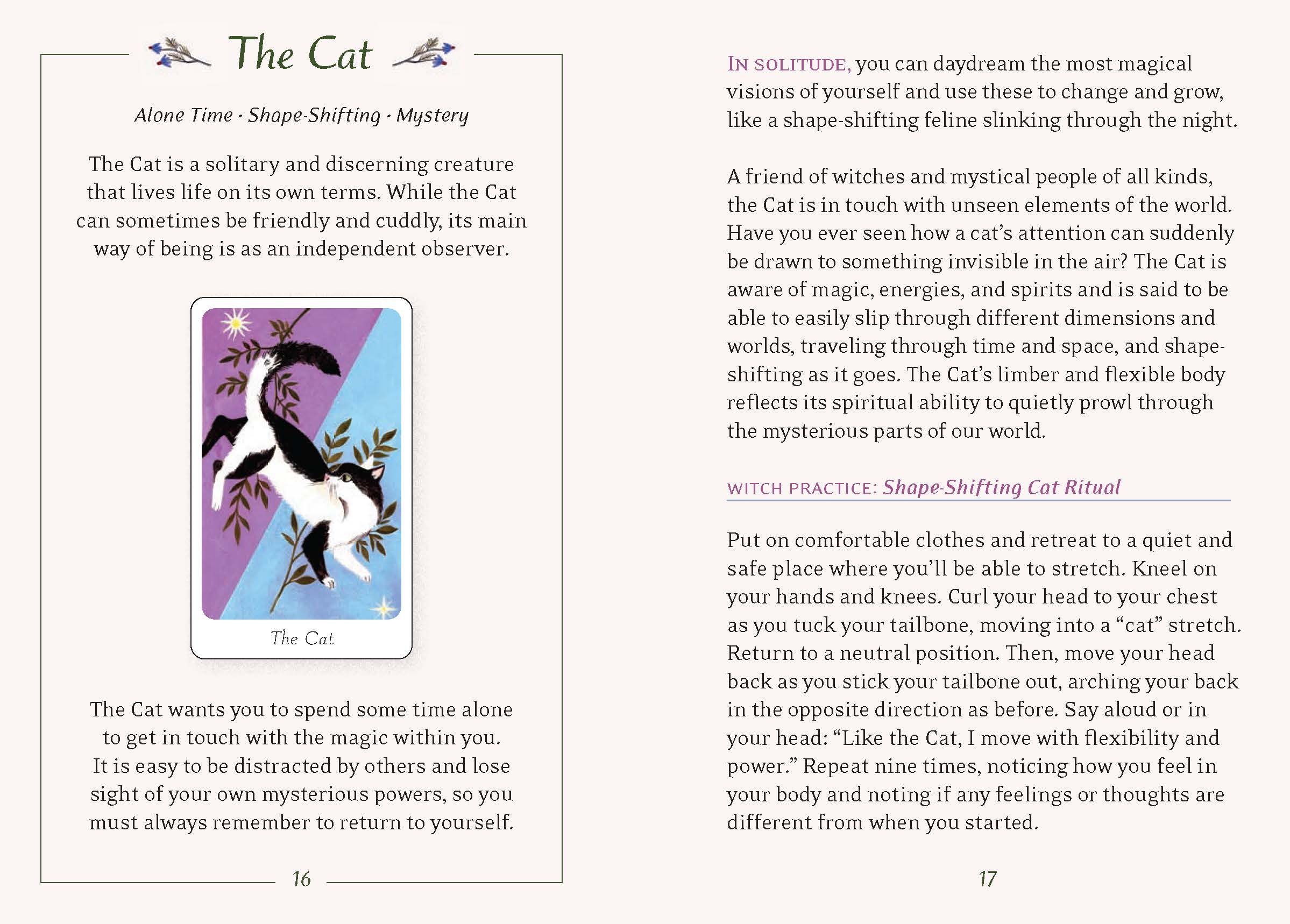 Chronicle Books - Wholesale Tarot Cards - Little Witch's Oracle Deck14