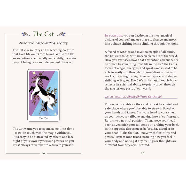 Chronicle Books - Wholesale Tarot Cards - Little Witch's Oracle Deck14