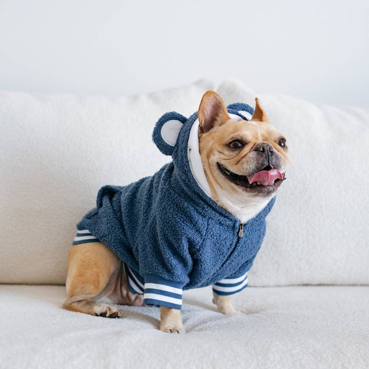 Frenchie - Wholesale Pet Hoodie - Dog - Frenchie Dog Hoodie - Blue Teddy8