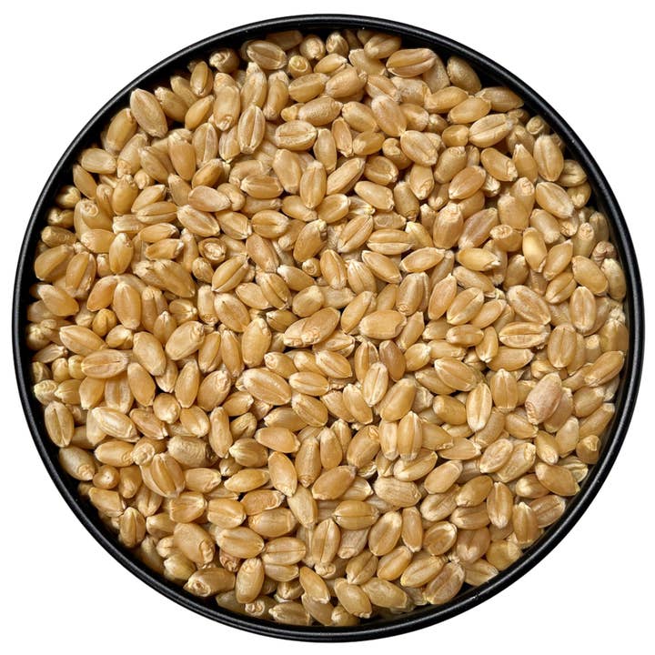 Storehouse Foods - Wholesale Bread Mix - Hard White Spring Wheat Berries2