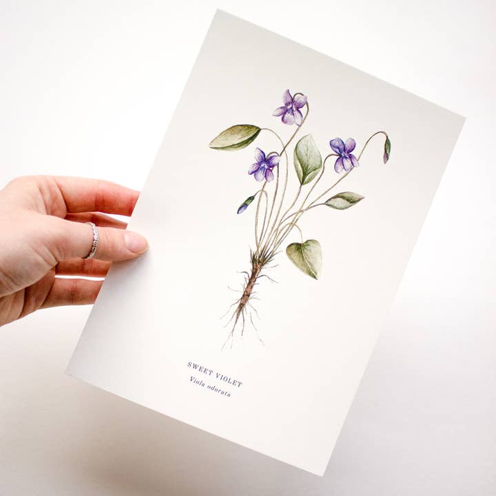 Estampado violeta dulce para venta al por mayor de Laura Jade