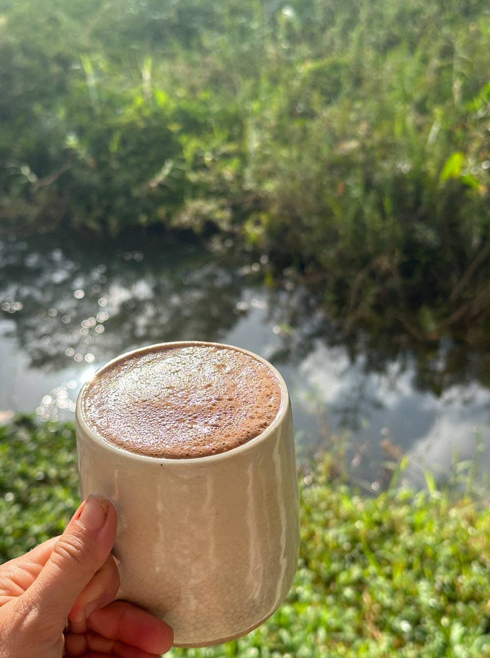 Kokoleka Collective – Proteína/Superalimento em pó por atacado – La Medicina - Elixir Cerimonial de Cacau com Cogumelos Medicinais3