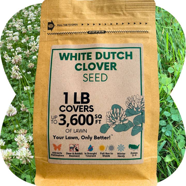 Flawn Seed Kits - Wholesale Plant Seeds - Dutch White Clover Seed4