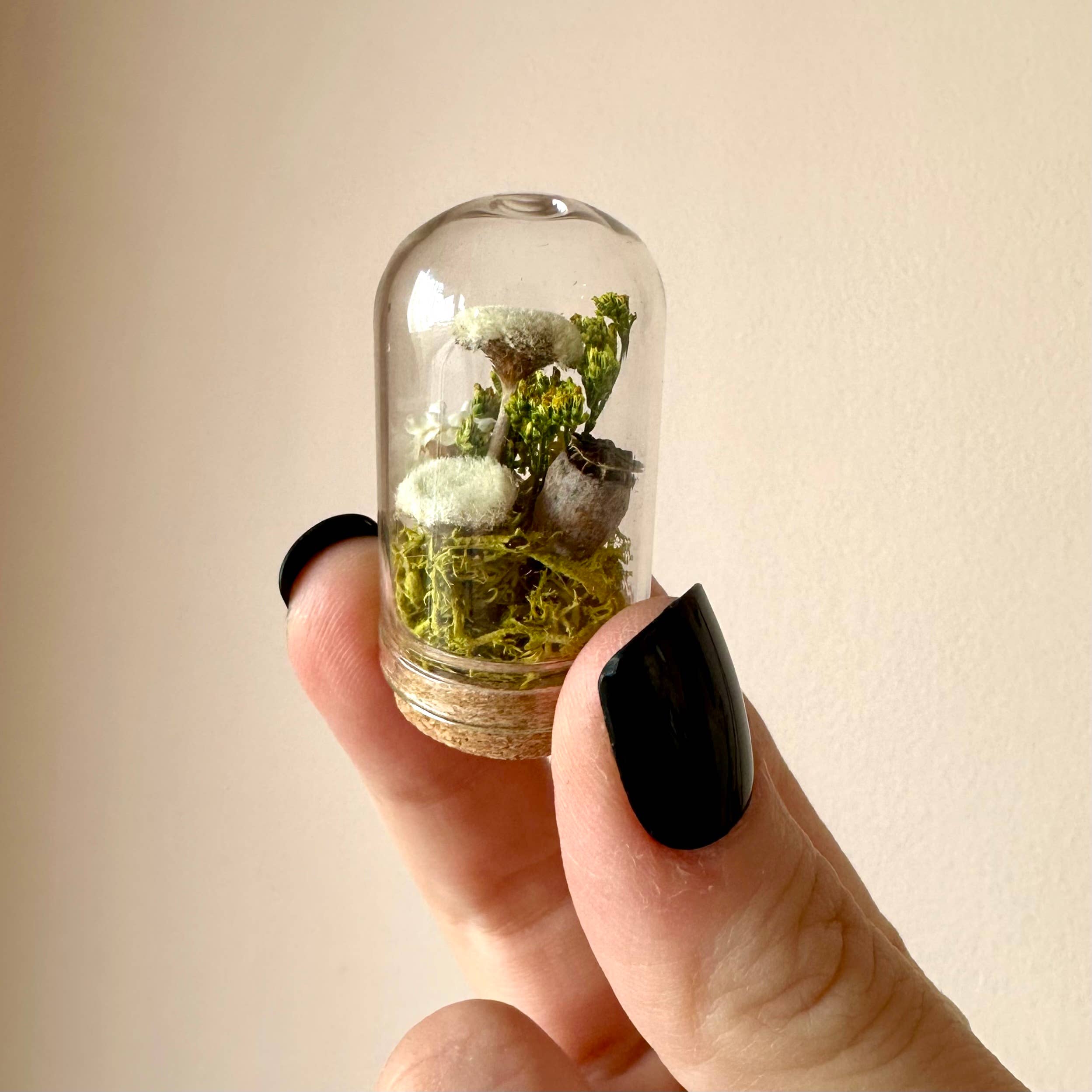 CA Studios - Wholesale Terrarium - Flower Forest Mini Glass Cloche Terrarium w. Dried Florals0