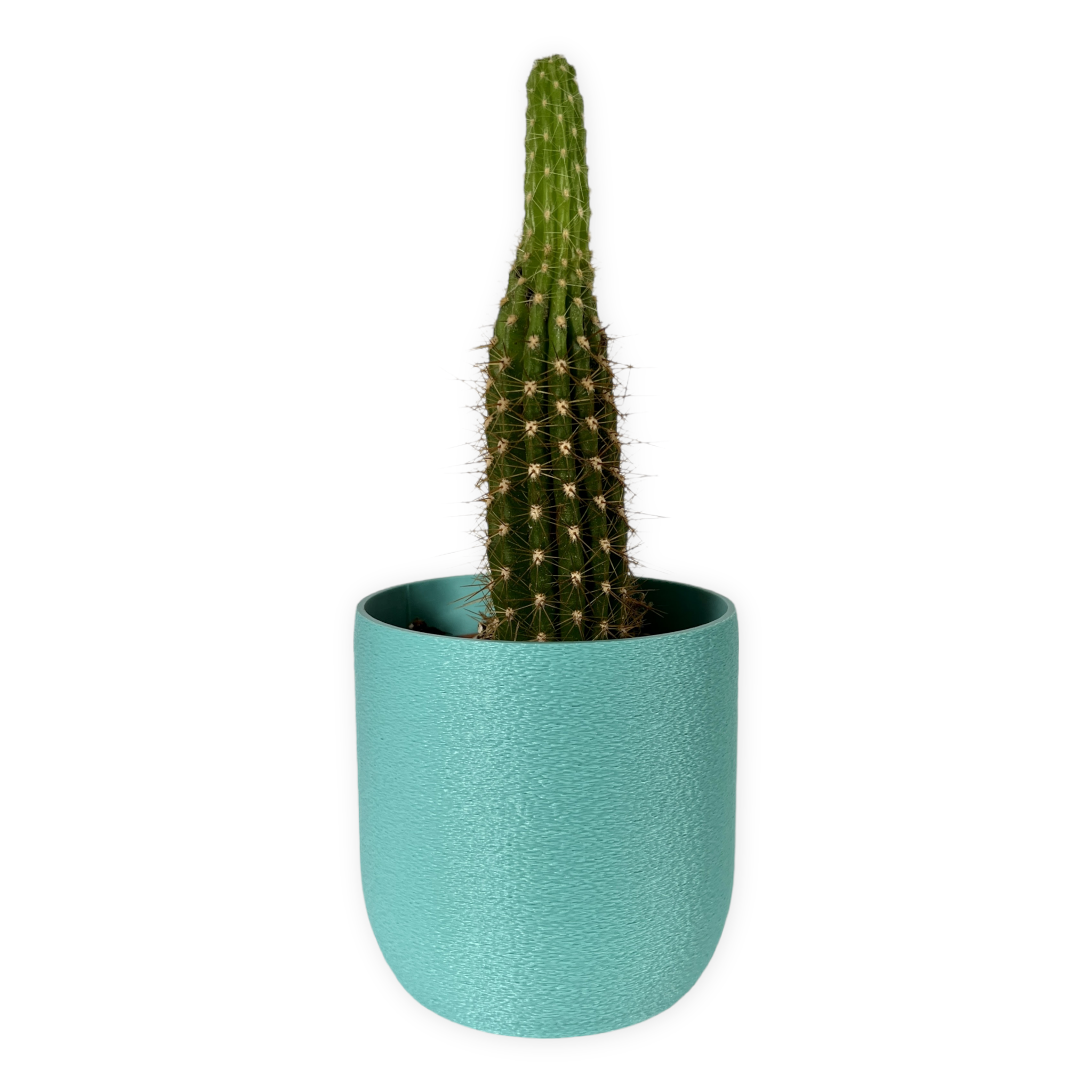 Leafprints.3d - Wholesale Plant Pot - The Moss – 4 Inch Cover Pot (No Drainage)4