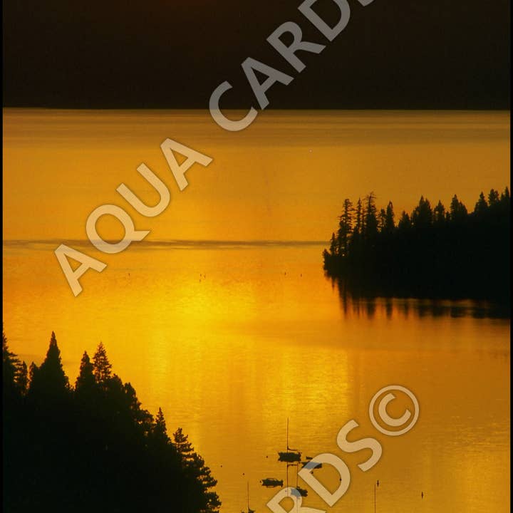 1037 - Despertarse en la bahía para venta al por mayor de Aqua Cards