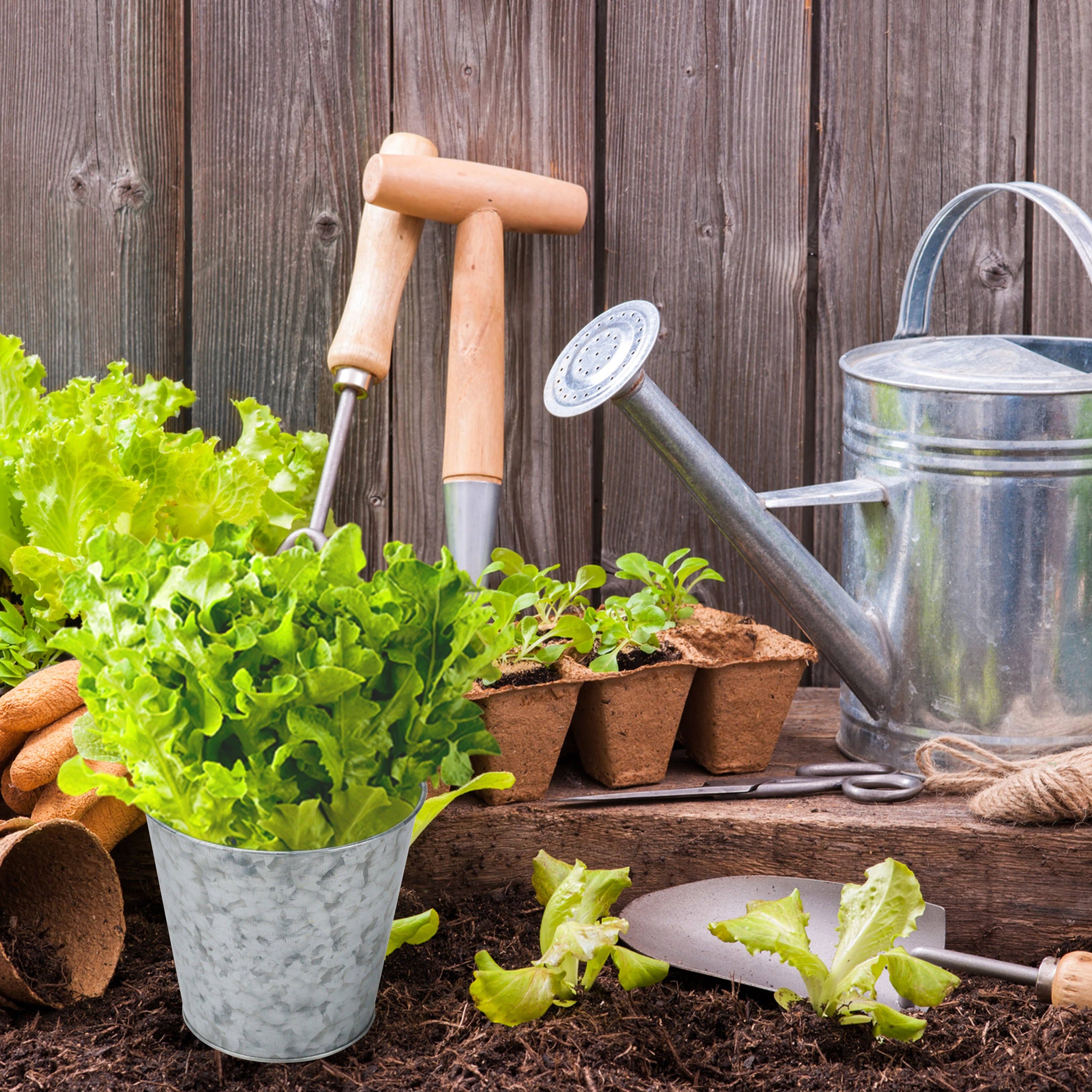 DAHO – Großhandel Blumentopf – 5,12 Zoll (13 cm) Metallblumentopf / Vase für Zuhause, Garten, Hochzeit, Außenbereich9