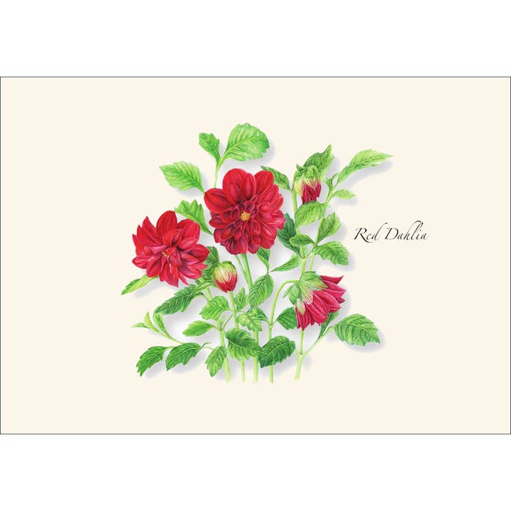 Earth Sky + Water - Wholesale Stationery/Notecard Set - Garden Favorites Assortment4