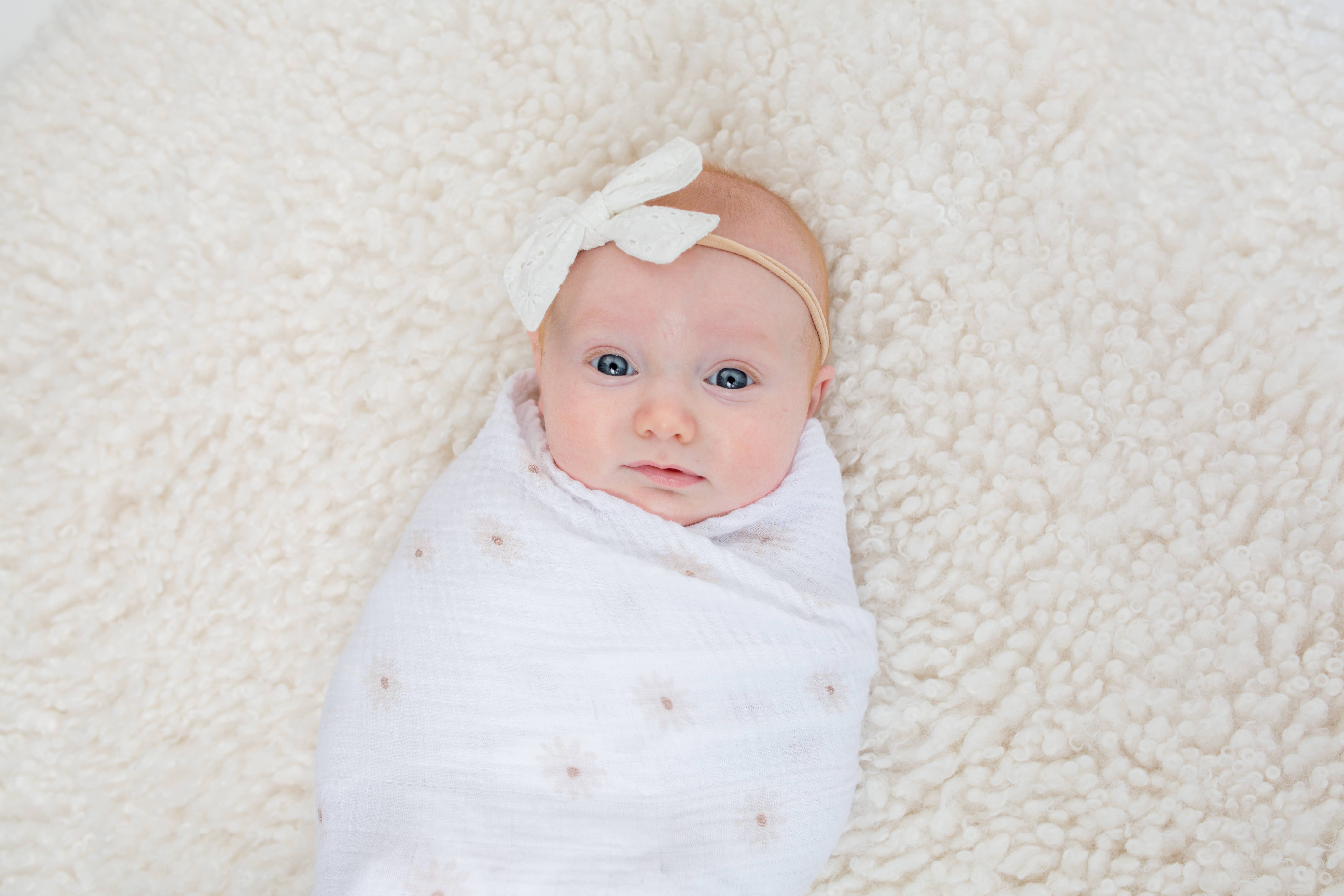 Lulujo Baby - Wholesale Swaddle - Baby - 2-Pack Cotton Swaddle Blankets – Daisy / Greenery4