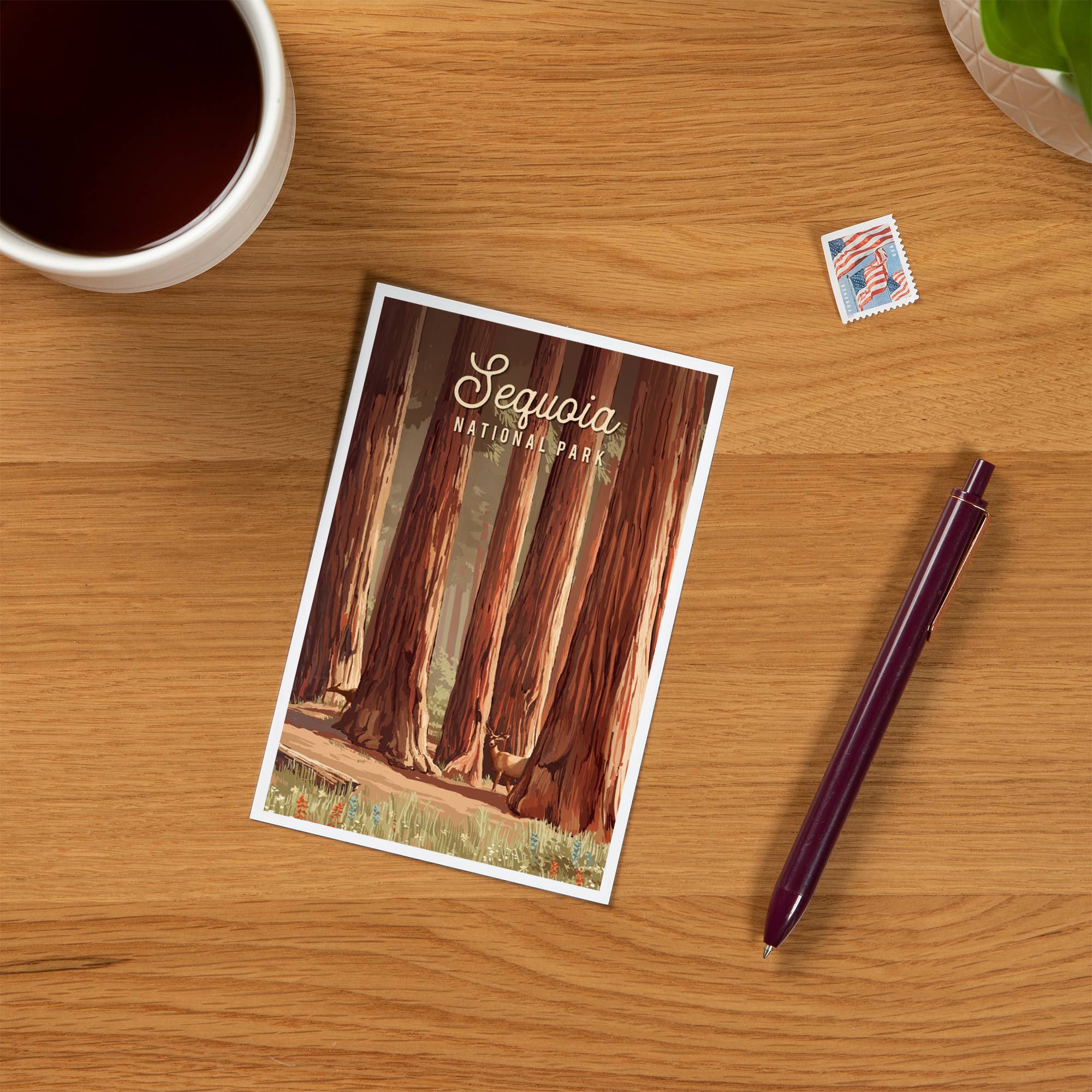 Lantern Press - Vendita all'ingrosso Cartoline - CARTOLINE PREMIUM Sequoia National Park, California1