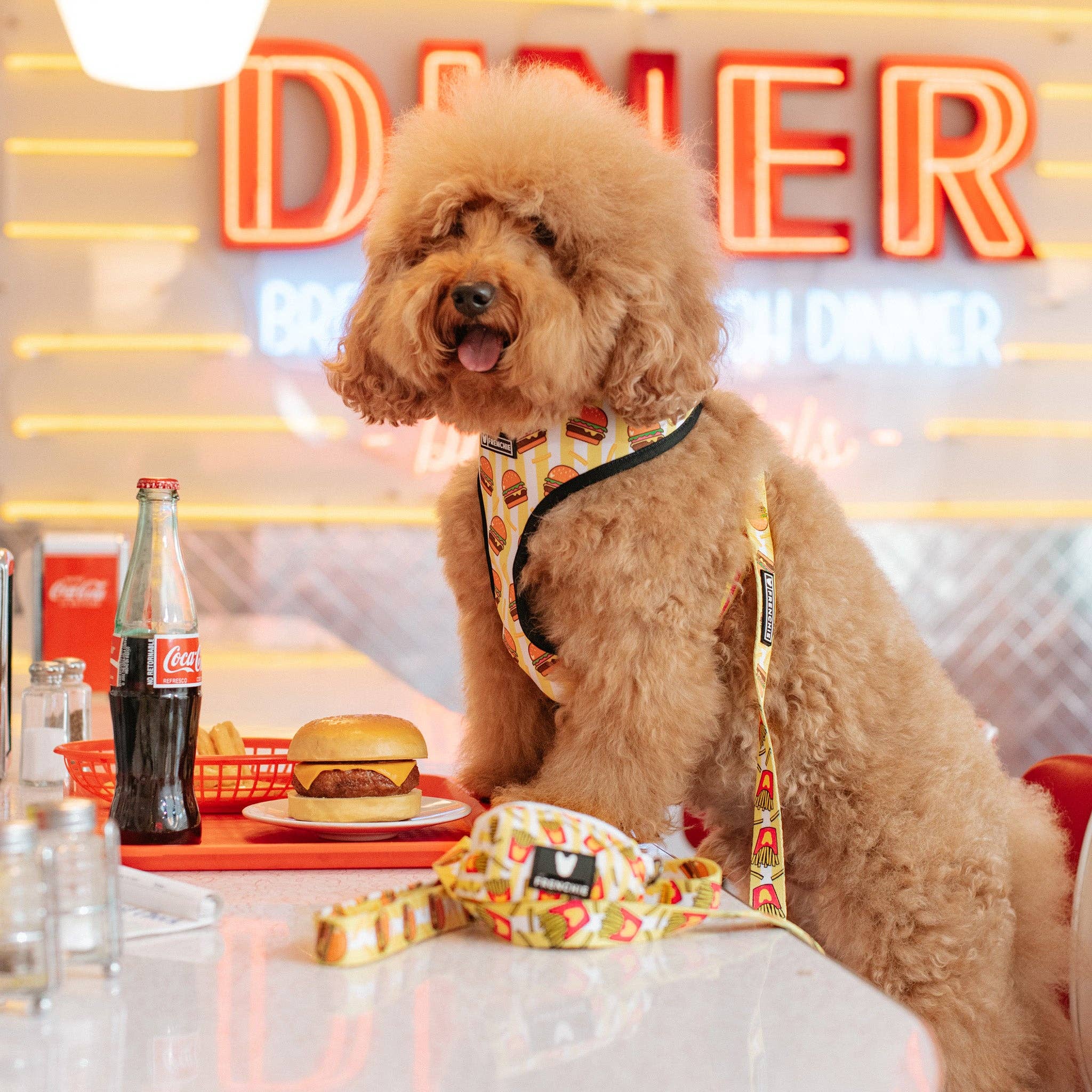 Frenchie - Wholesale Pet Harness - Dog - Frenchie Duo Reversible Harness - Burger N Fries2