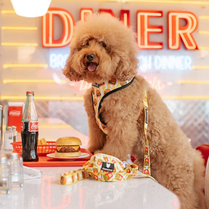 Frenchie - Wholesale Pet Harness - Dog - Frenchie Duo Reversible Harness - Burger N Fries2