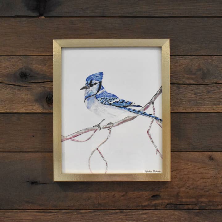 Blue Jay 8x10 Watercolor Print for wholesale by Hadley Richards Designs
